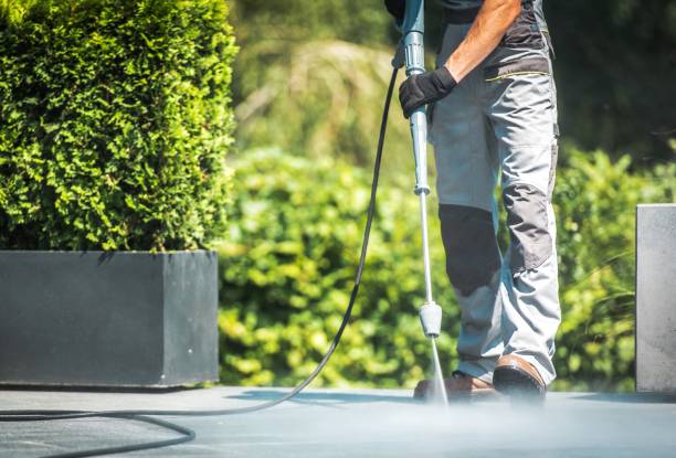 Best Sidewalk and Walkway Cleaning  in Bayboro, NC